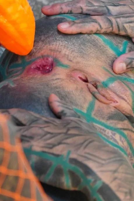 Татуированная девушка Anuskatzz занимается лесбийским сексом со Стейси Блум на кровати